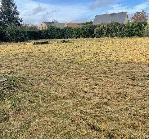 Terrain 1017 m²