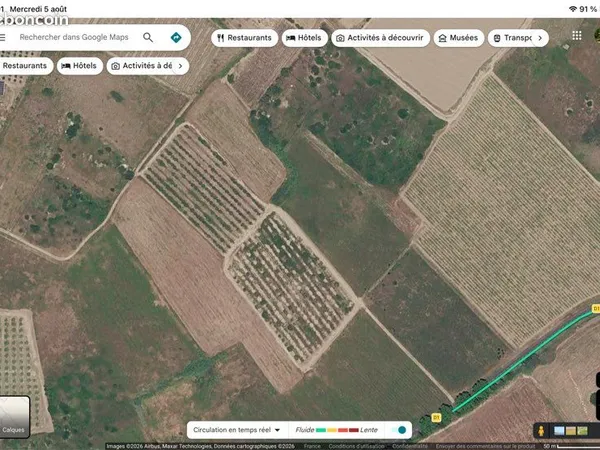 Terrain agricole verger abricotiers