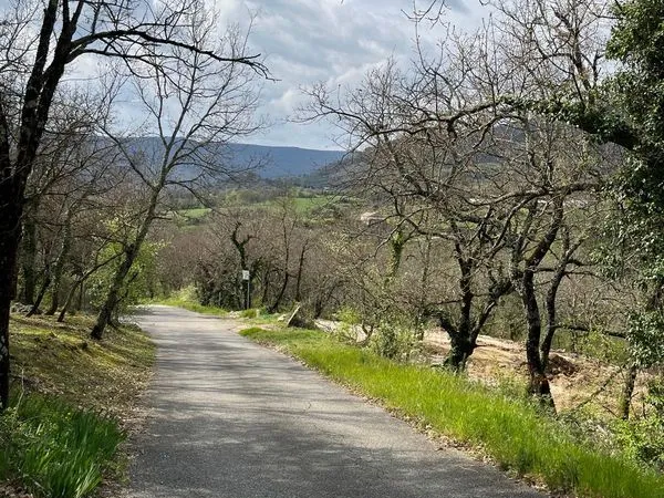 Terrain 1650 m² Alissas