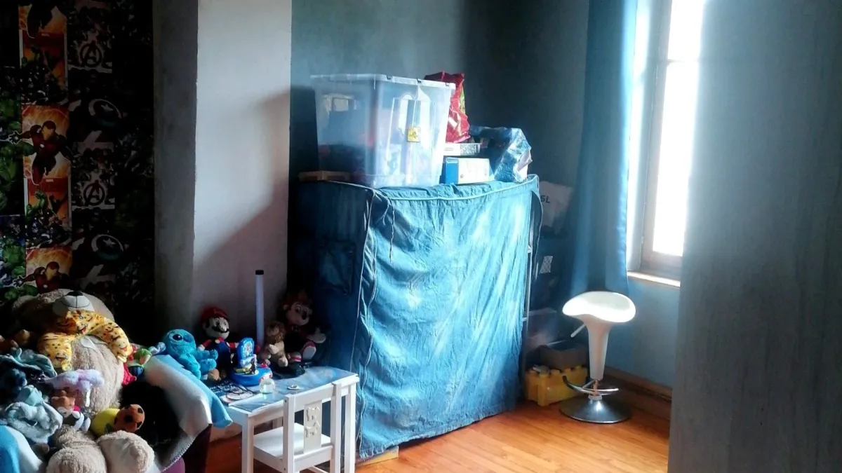 Photo 5