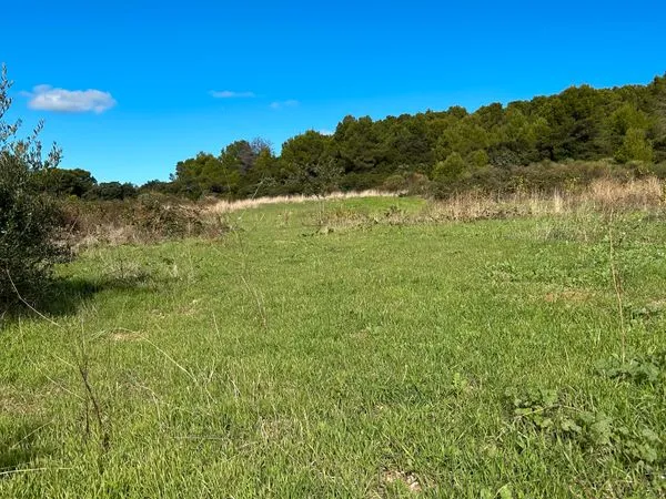 Lot de terrains agricoles Ensemble de 42 870 M2