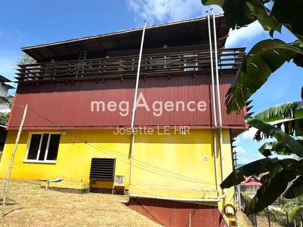 Immeuble a usage commercial et professionnel CAYENNE