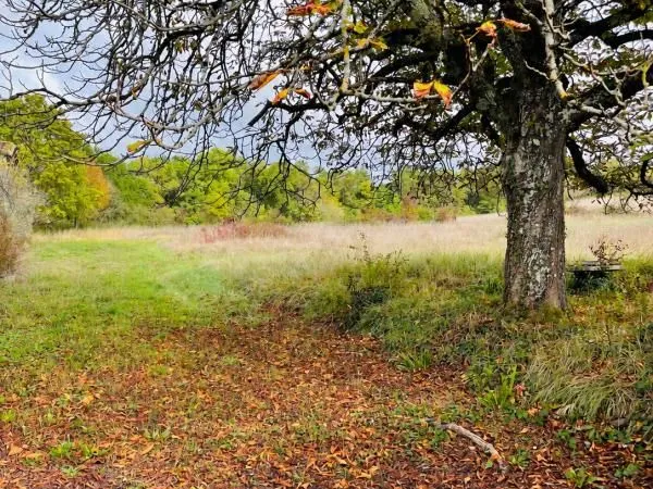 Terrain 940 m² Loupes