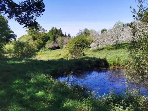 Rare pépite bois, verger, ruisseau