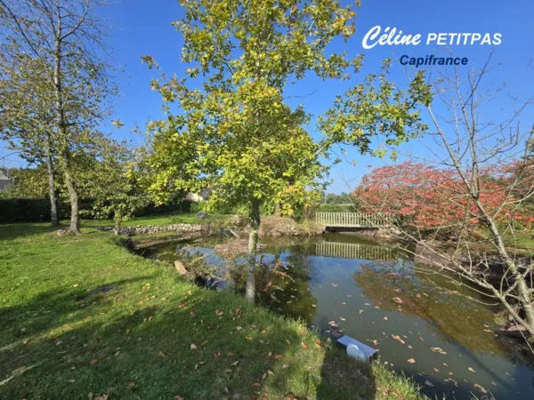 Terrain 1240 m²