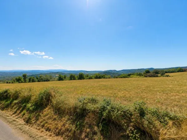 Terrain 477 m²