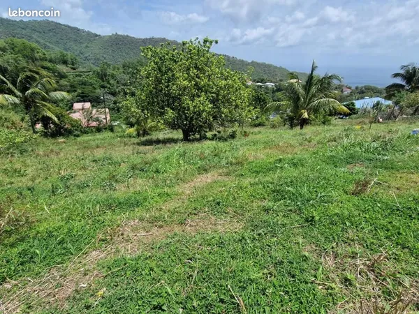 Terrain 1 494 m² Le Morne Vert
