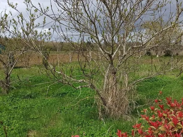 Terrain 450 m²