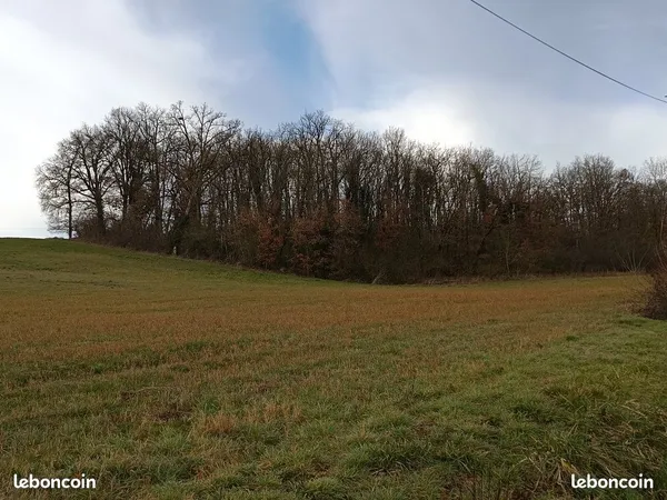 4 Terrains Loisirs Boisé Ou Déboisé isolé Terre Bois Chêne 3103m2 2973m2 1130m2 637m2