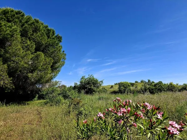 Terrain en lotissement 282 m²