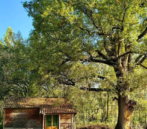 Grande maison en pierre pour groupes, Quercy, 1 h de Toulouse, dans le Lot