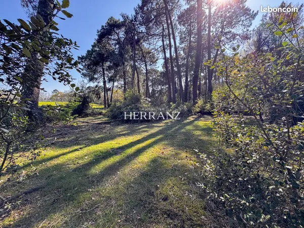 Terrain 3006 m² Eysines