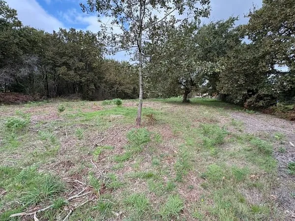 Terrain 1077 m²