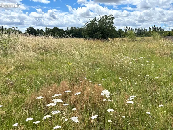 Terrain 786 m² MONTAUBAN