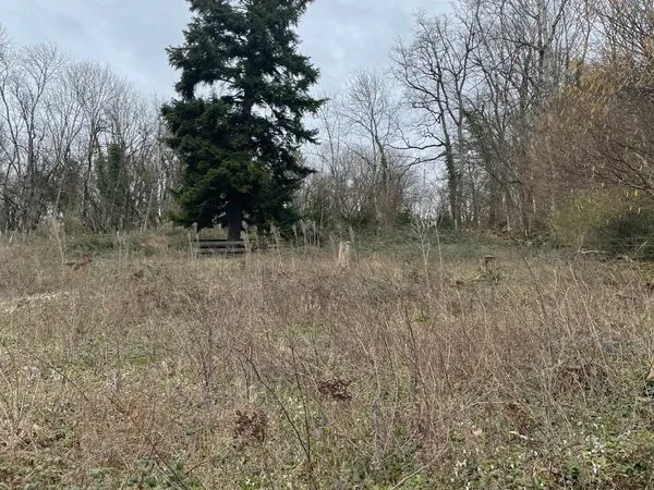 Terrain zone verte