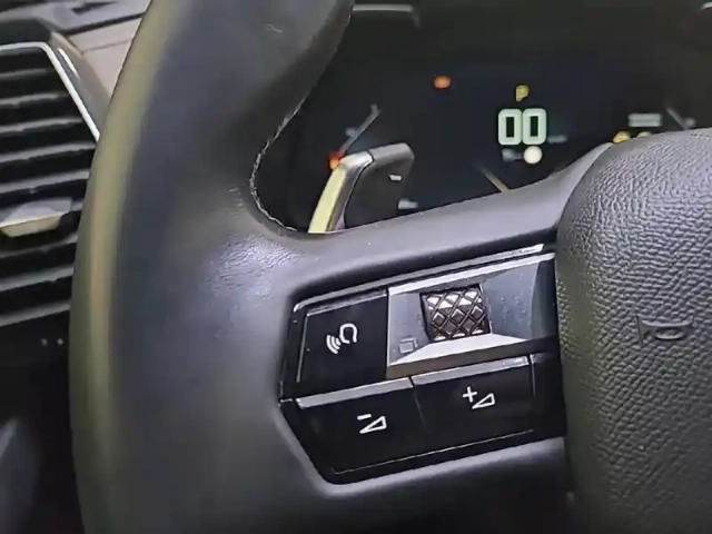 Ds Ds 7 ds7 crossback bluehdi 130 eat8 — photo 101