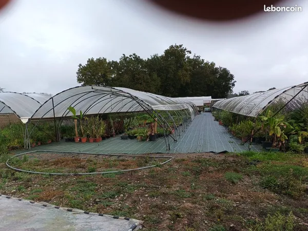 Exploitation horticole ou maraichere
