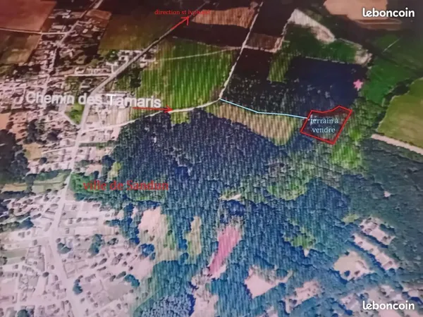 Vend terrain boisé à Guérande 7053m2