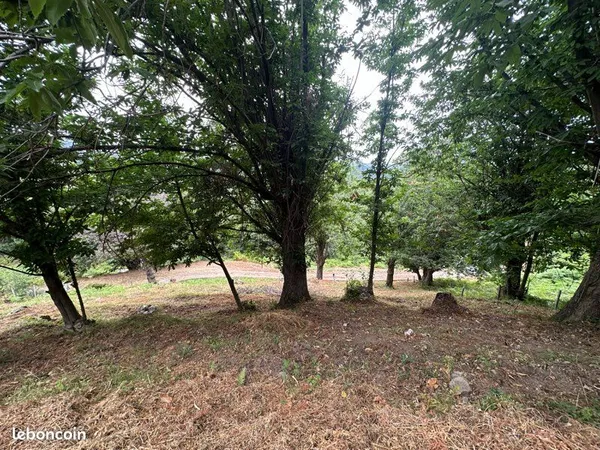 Terrain constructible