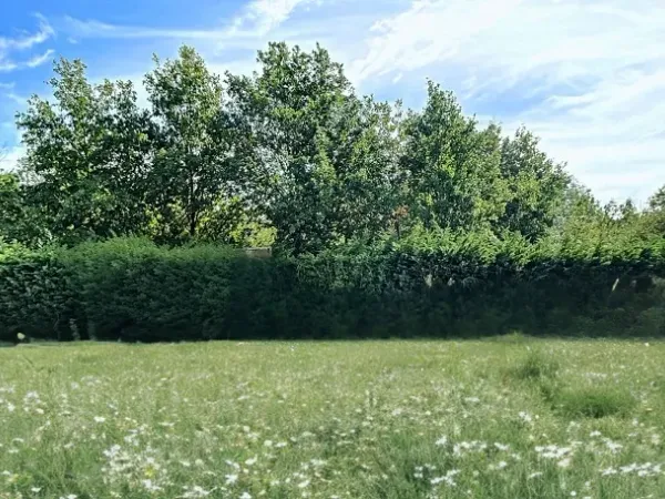 Terrain 348 m²