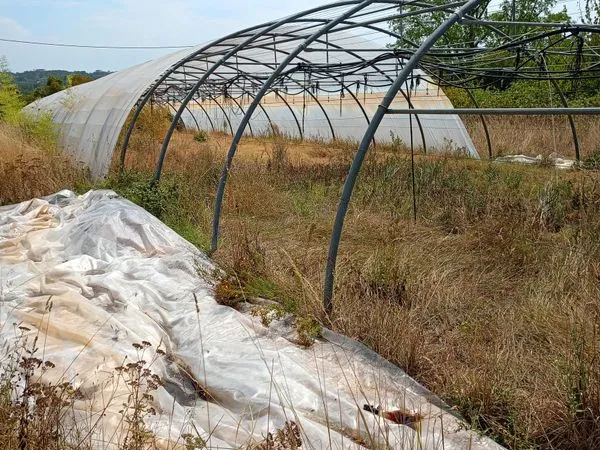 Serres agricoles à louer - 960 m² de serres + 1 hectare - 2 mois de loyer offerts