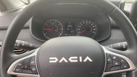 Dacia Sandero 1.0 ECO-G 100ch Stepway Extreme + — photo 14