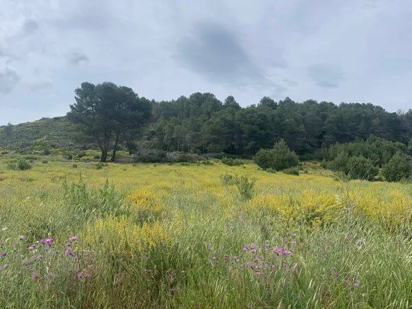 Terrain agricole