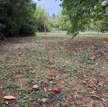 Terrain 450 m²