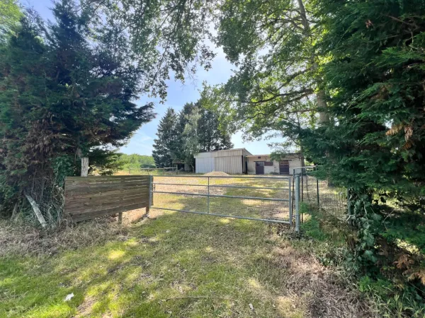 Terrain 10990 m²