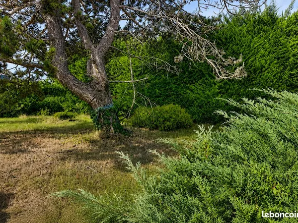 Saint-Briac — Terrain constructible 310 m² à proximité du centre