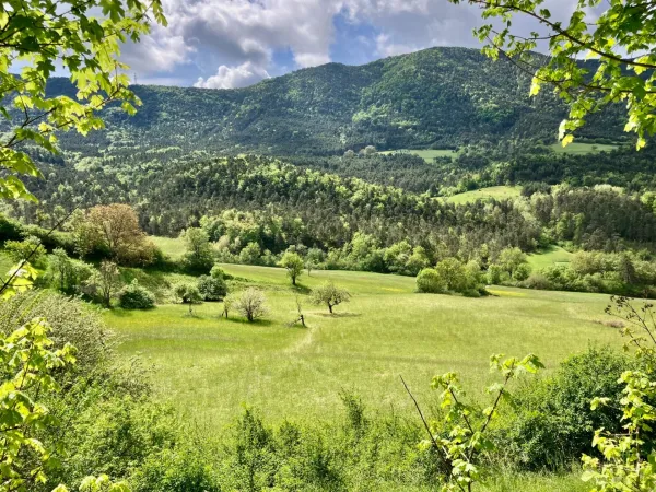 Terrain 12283 m²