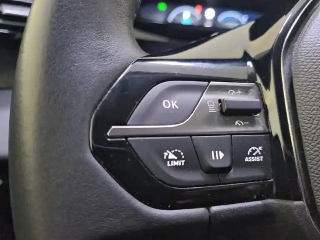 Peugeot 308 phev 180 e-eat8 — photo 28