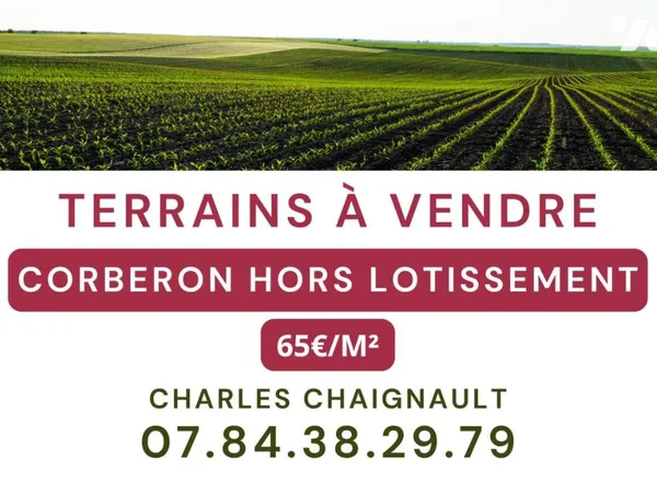 Terrain 1037 m²