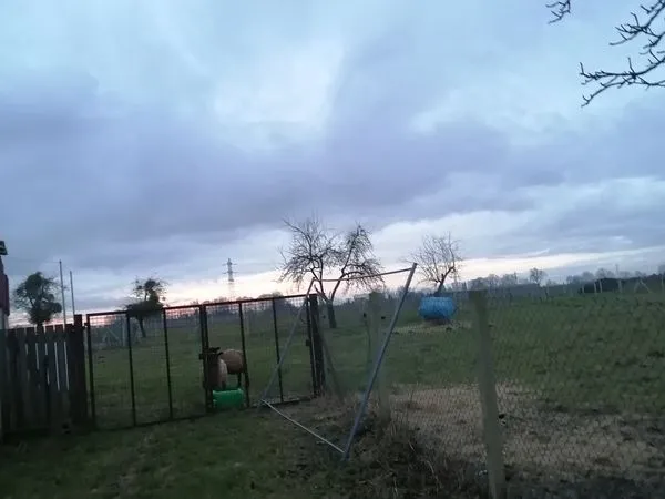 Terrain 2400 m²