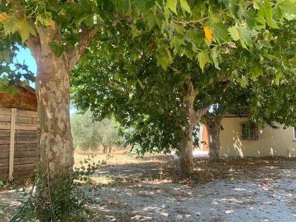 Terrain 1786 m²