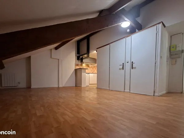 Studio 34m2 sous combles - Proche gare / centre / place des Vosges