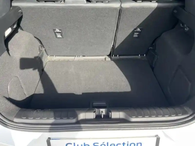 Ford Puma 1.0 flexifuel  125ch s&amp;s mhev titanium x — photo 13
