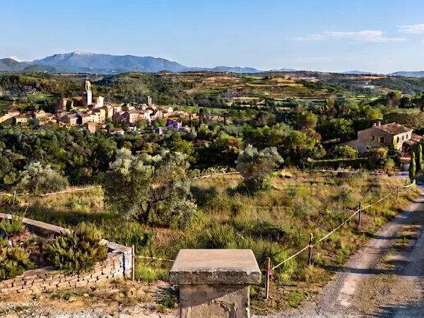 Exclusivité ! Terrain de 9800 m² divisible à lotir