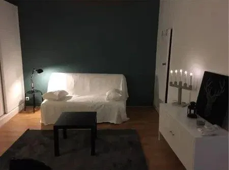 Appartement 1 pièce 30 m²