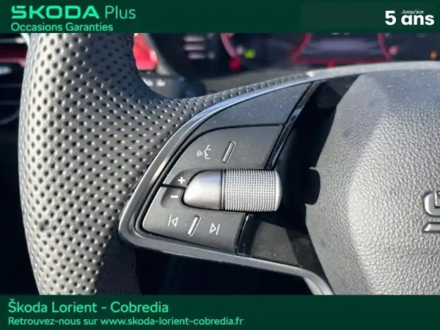 Skoda Fabia 1.0 tsi evo2 116ch monte carlo dsg7 — photo 14