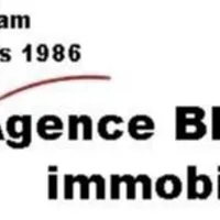Bietrix immobilier
