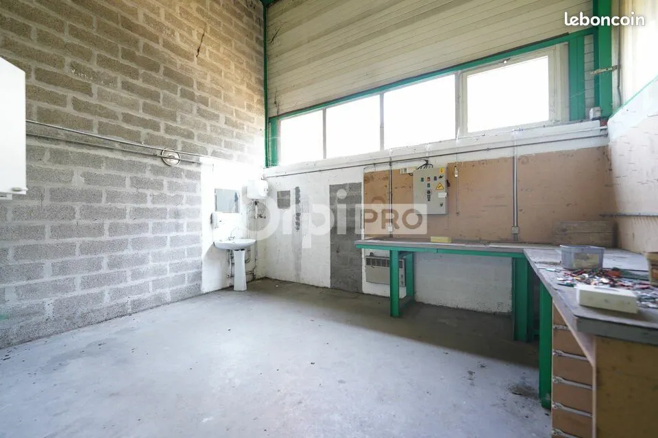 Photo 12