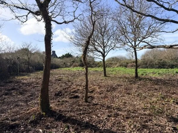 Bois de chêne - Terrain de 9020 m2