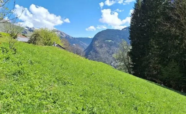 Terrain 962 m²