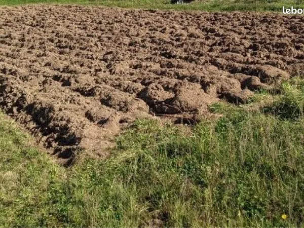 Potager à louer