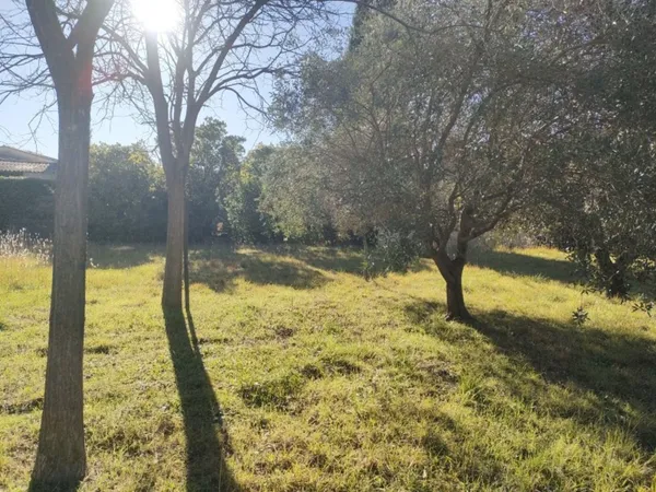 Terrain 429 m²