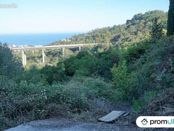 Terrain 1 195 m² Sainte Agnes