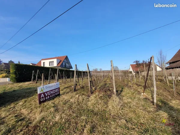 Terrain 634 m² Obermorschwihr