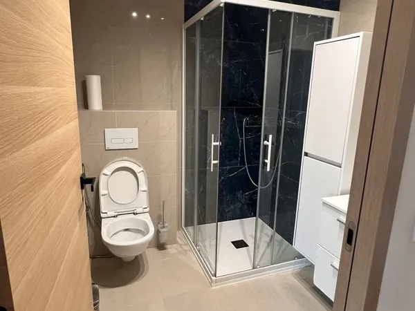 Executive style apartment near Geneva