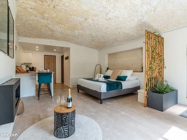 Maison troglodyte avec spa - Idéal investissement location saisonnière - Proche Tours